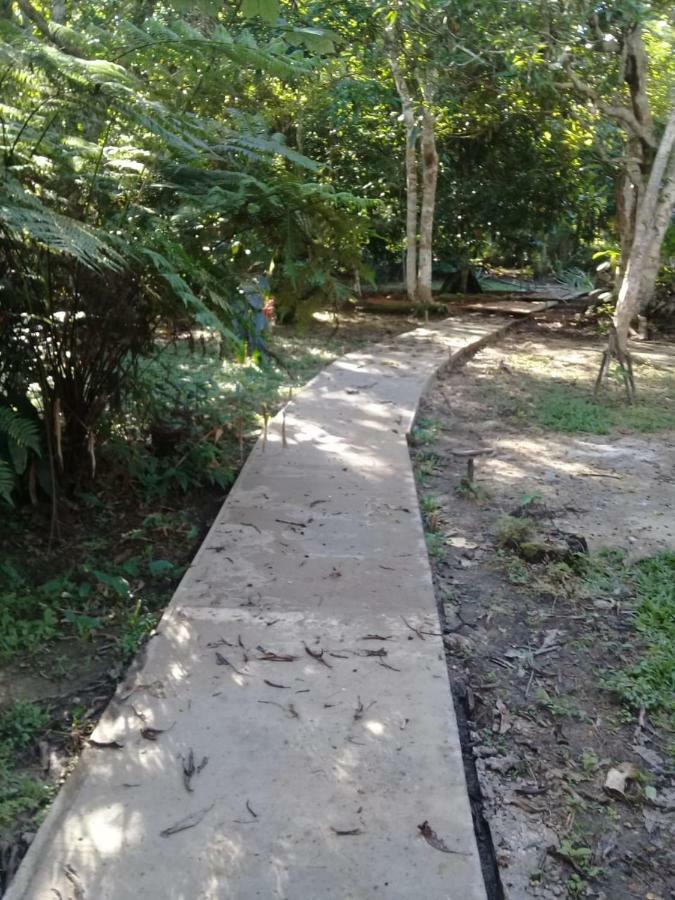 Palmayacu - Refugio Amazonico Leticia Dış mekan fotoğraf
